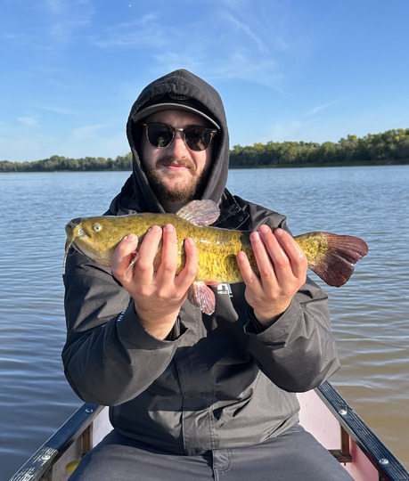 Bullhead