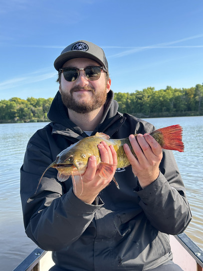 Bullhead