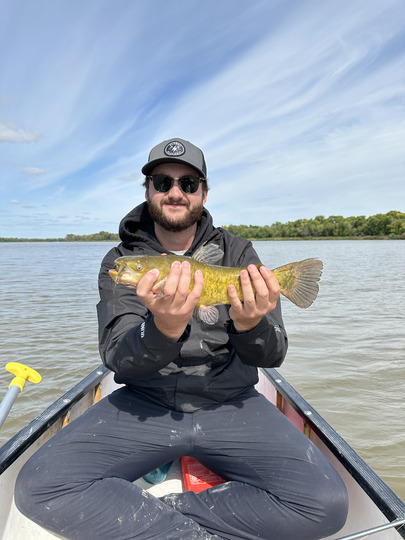 Bullhead