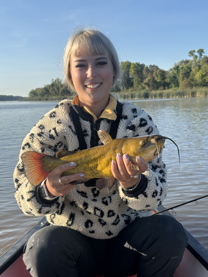 Bullhead