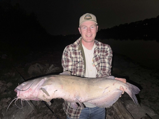 Channel Catfish