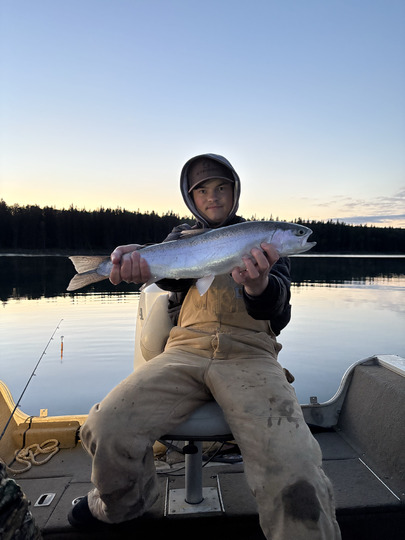 Rainbow Trout