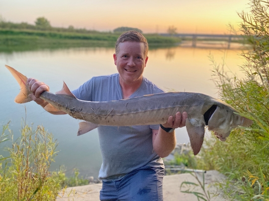 Lake Sturgeon