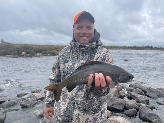 Arctic Grayling