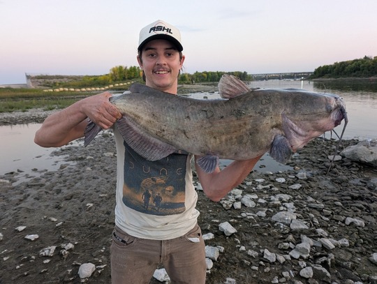 Channel Catfish