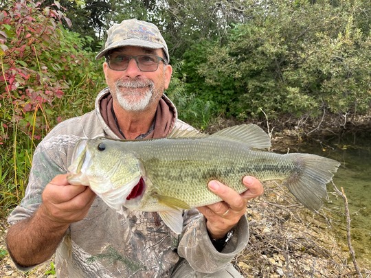 Largemouth Bass