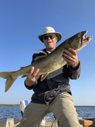 Lake Trout