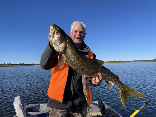 Lake Trout