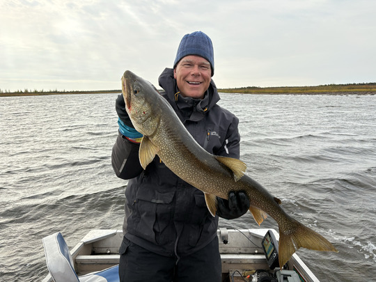 Lake Trout