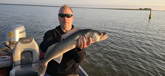 Walleye