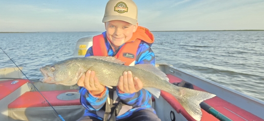 Walleye