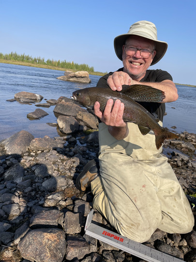 Arctic Grayling