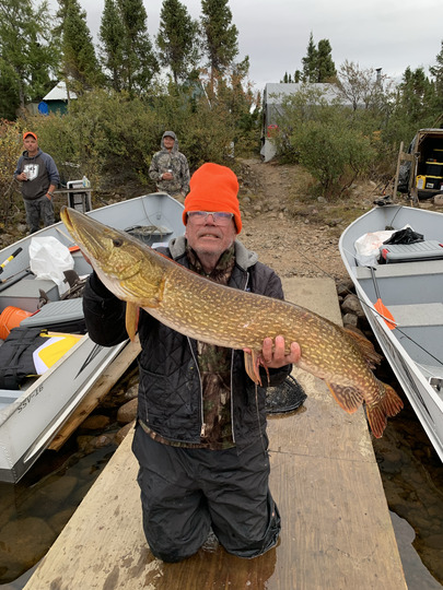 Northern Pike