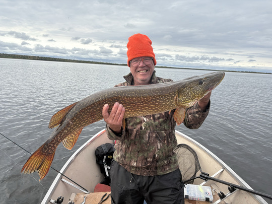 Northern Pike