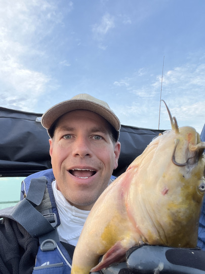 Bullhead
