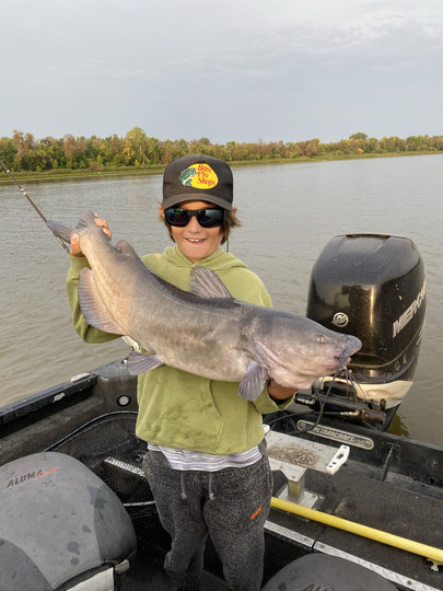 Channel Catfish