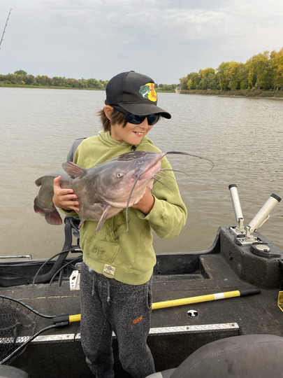 Channel Catfish