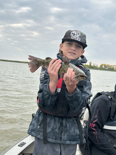 Bullhead