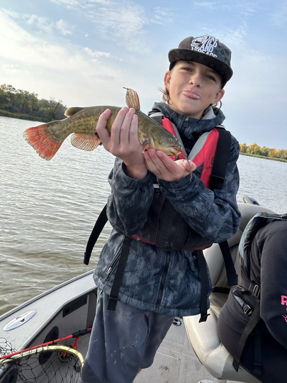 Bullhead