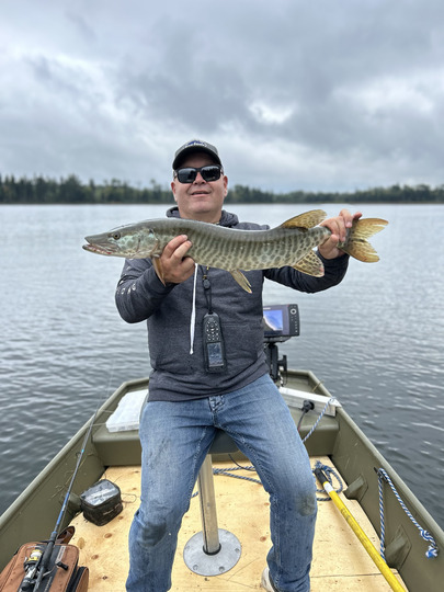 Muskellunge