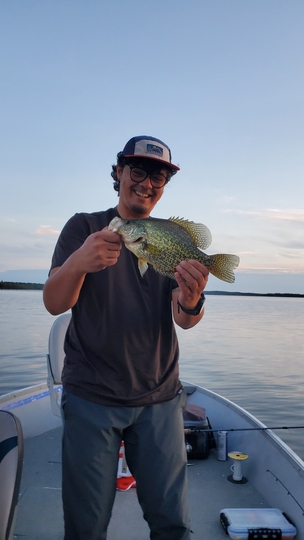 Black Crappie