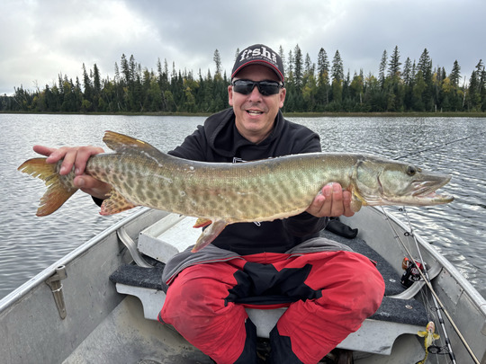 Muskellunge