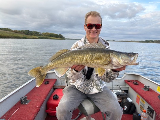 Walleye