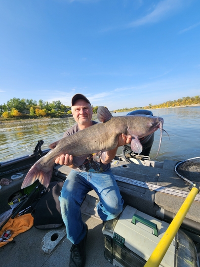 Channel Catfish
