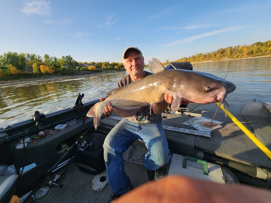 Channel Catfish