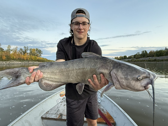 Channel Catfish