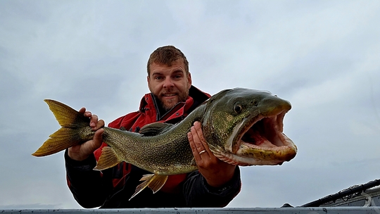 Lake Trout