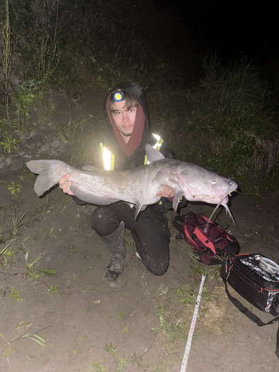 Channel Catfish