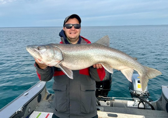 Lake Trout