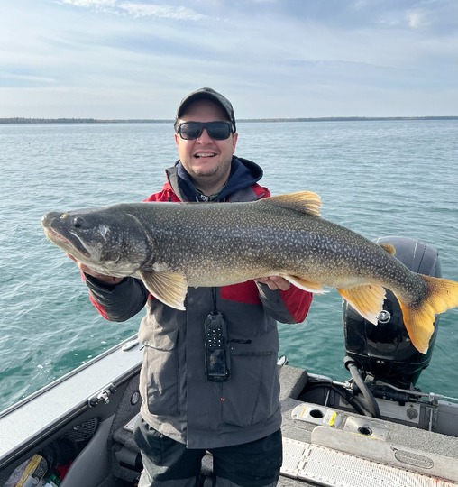 Lake Trout