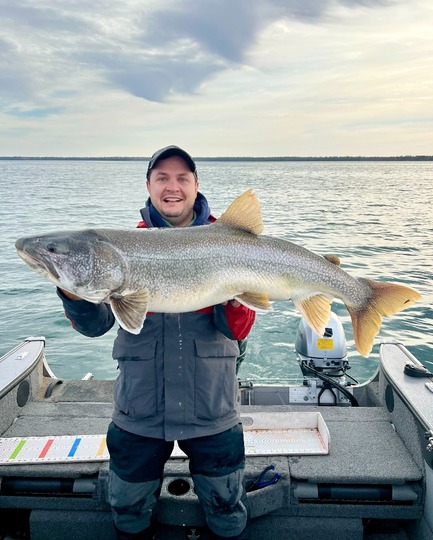 Lake Trout