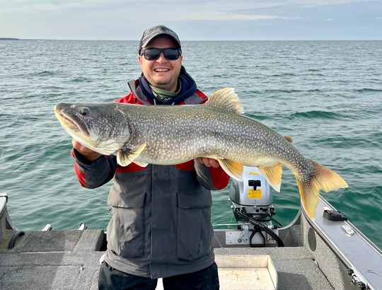 Lake Trout