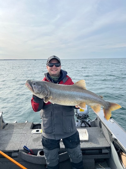Lake Trout