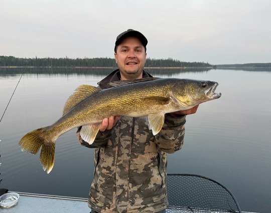 Walleye