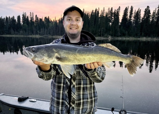 Walleye