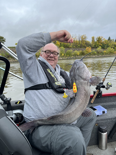 Channel Catfish