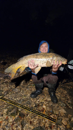 Common Carp