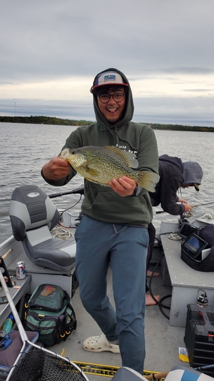 Black Crappie