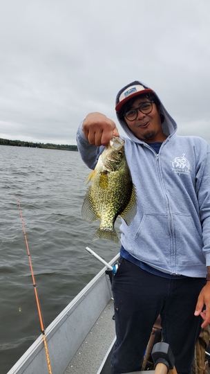 Black Crappie