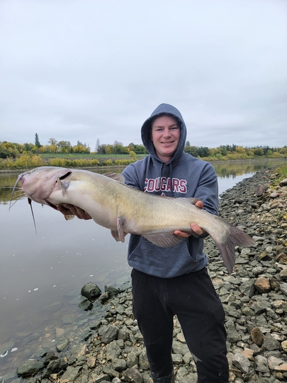Channel Catfish
