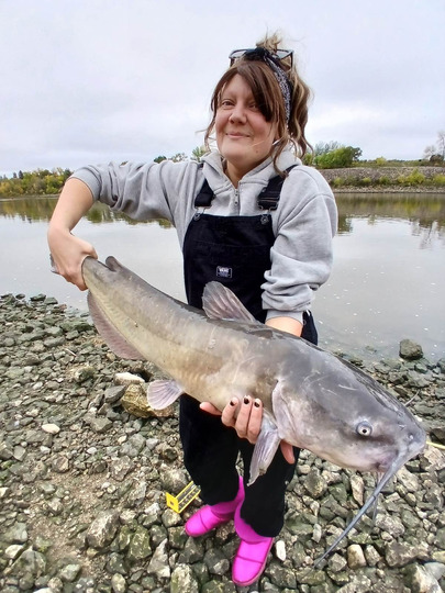 Channel Catfish
