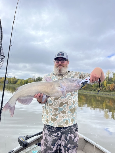 Channel Catfish
