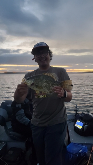 Black Crappie