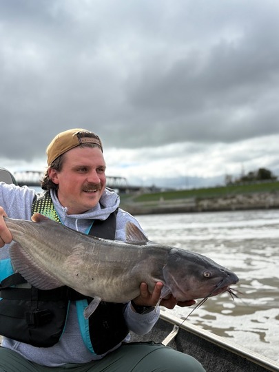 Channel Catfish