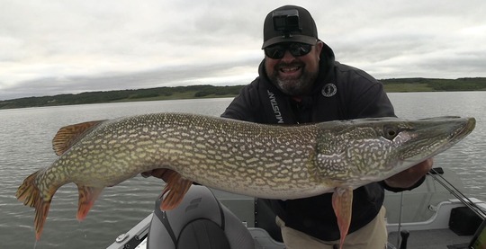 Northern Pike