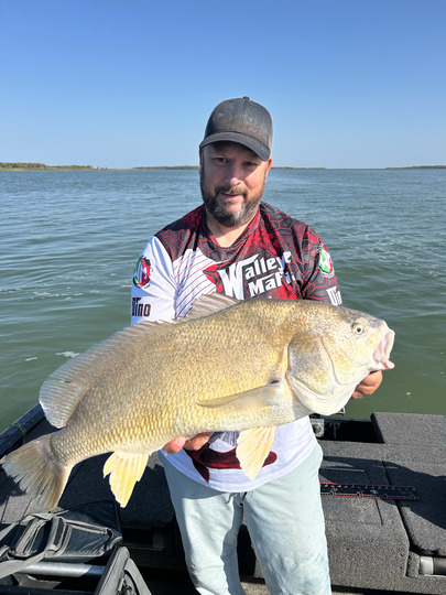 Freshwater Drum